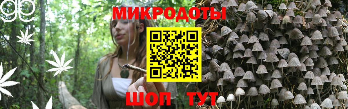 Псилоцибиновые грибы GOLDEN TEACHER Коряжма